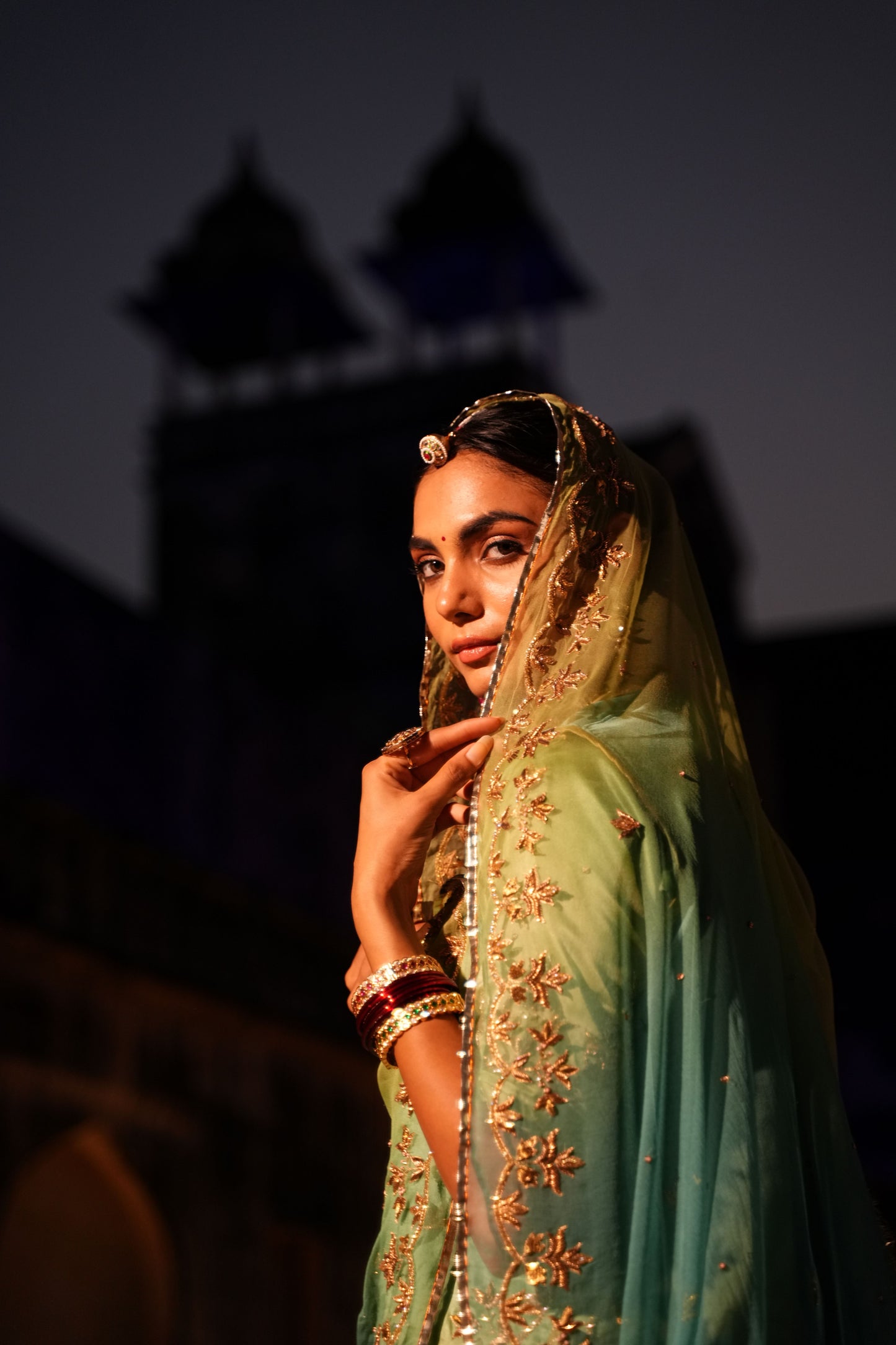 Golden Zardosi Rajasthani Poshak